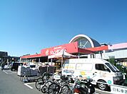 ジュンテンドー 古市店（1245m）
