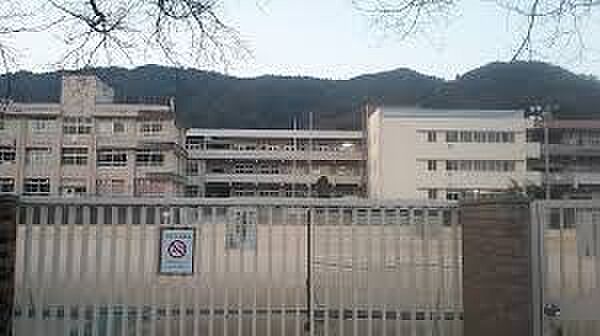 画像22:広島市立亀山小学校（804m）