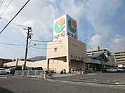 ザ・ダイソー マルショク山本店（213m）
