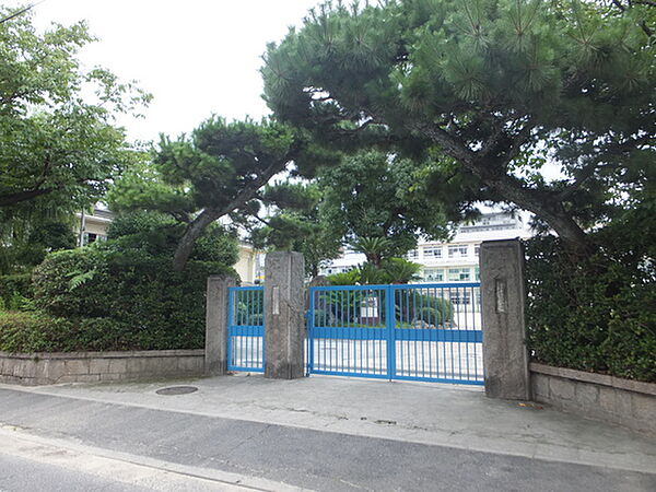 画像21:小学校「広島市立大芝小学校まで731ｍ」