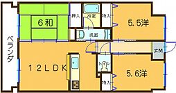 カイチダビル 3LDKの間取図画像