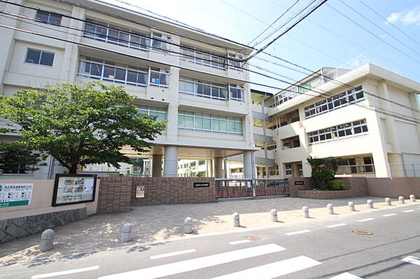 画像23:小学校「広島市立緑井小学校まで609ｍ」