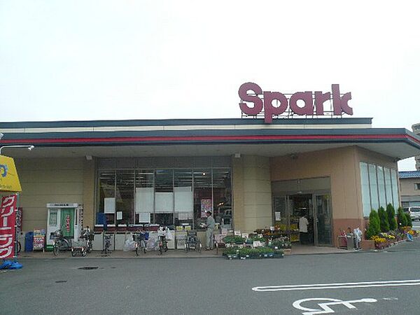 画像18:スーパー「スパーク廿日市店まで133ｍ」