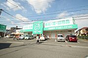 ドラックストア「ザグザグ古市店まで441ｍ」