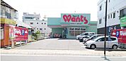 ドラックストア「ウォンツ五日市コイン通り店まで443ｍ」
