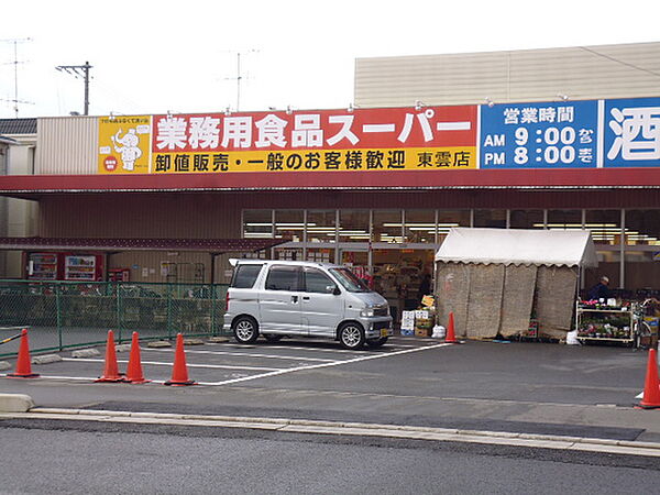 画像16:スーパー「業務用食品スーパー東雲店まで523ｍ」