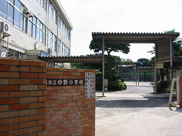 画像18:小学校「広島市立中野小学校まで802ｍ」
