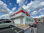 ドラックストア「くすりのレデイ広島西条店まで898ｍ」