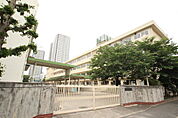 小学校「広島市立白島小学校まで739ｍ」