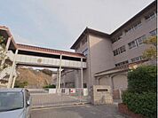 小学校「府中町立府中北小学校まで451ｍ」