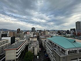 デュレーヴ国泰寺  ｜ 広島県広島市中区国泰寺町1丁目（賃貸マンション1LDK・12階・39.98㎡） その14