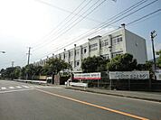 小学校「広島市立安西小学校まで1441ｍ」