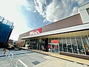 ドラックストア「ウォンツフジ古市店まで766ｍ」