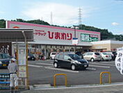 ドラックストア「スーパードラッグひまわり中山店まで1054ｍ」