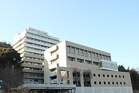 広島県広島市西区田方3丁目（賃貸マンション3LDK・14階・68.52㎡） その15