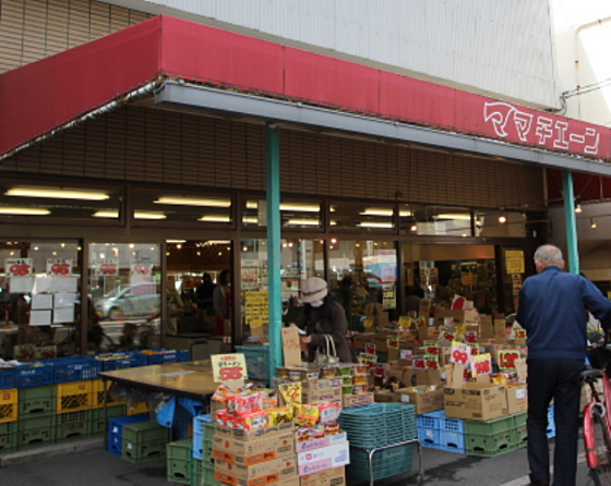 広島県広島市西区西観音町(賃貸マンション1K・2階・17.28㎡)の写真 その20