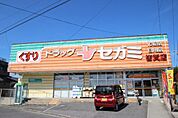 ドラックストア「ドラッグセガミ皆賀店まで868ｍ」