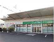 ドラックストア「ザグザグ光南店まで354ｍ」
