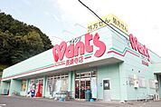 ドラックストア「ウォンツ長楽寺店まで458ｍ」