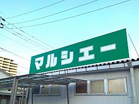 広島県広島市安佐南区長束西3丁目（賃貸アパート1LDK・1階・30.63㎡） その4