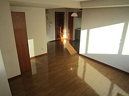 パインヒルズ東白島 7階ワンルームのリビング/ダイニング