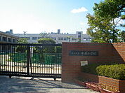 小学校「広島市立中島小学校まで570ｍ」