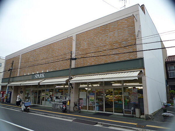 画像20:スーパー「スパーク吉島店まで569ｍ」