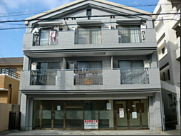 メープルリーフ