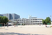 小学校「広島市立天満小学校まで730ｍ」