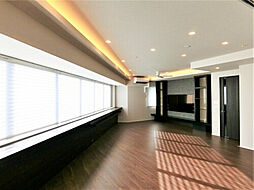 ザ・パークハウス広島タワー 20階2LDKのリビング/ダイニング