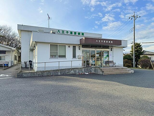 周辺 八王子市館町
