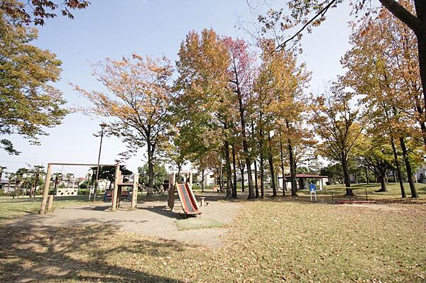 その他を拡大表示