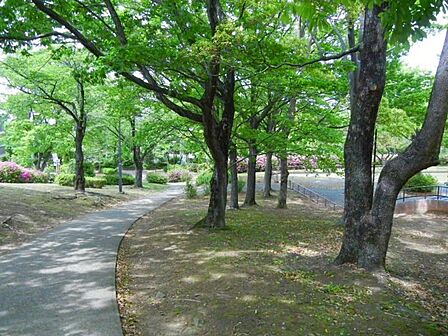 大塚西公園迄250ｍ