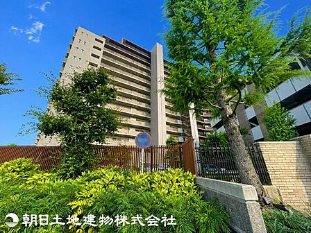 【2026年7月撮影】
