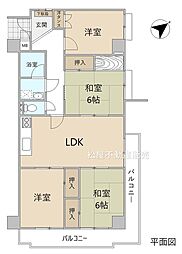 シャンボール中野 4LDKの間取図画像