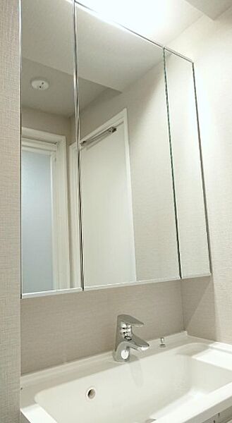 洗面を拡大表示