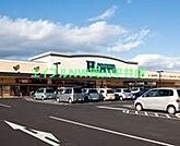 ハピーズ円山店 1265m