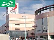 山陽マルナカマスカット店 535m