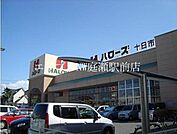 ハローズ総社店 243m
