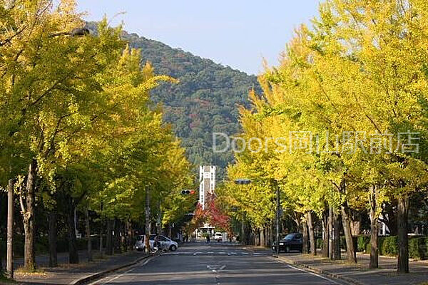 プレアール南方I ｜岡山県岡山市北区南方4丁目(賃貸マンション1K・2階・16.47㎡)の写真 その25