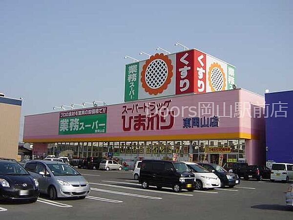 画像27:スーパードラッグひまわり東岡山店 2403m