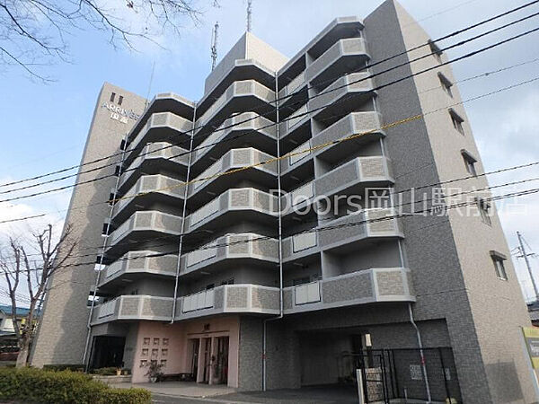 岡山県岡山市中区国富(賃貸マンション2LDK・3階・50.00㎡)の写真 その1