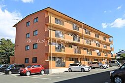 サンアルカディアS