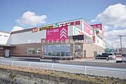 ダイソー豊橋下地店スギ薬局 645m
