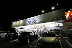 ドラッグスギヤマ春岡通店 419m