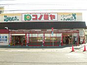 コノミヤ中根店 867m