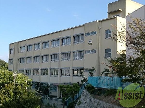 画像29:神戸市立高倉中学校 1488m