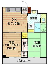 マルティニーク 5階/503