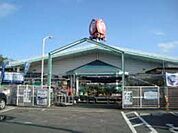 コメリハード＆グリーン神栖店 1995m