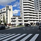 前面道路(駒沢通り)